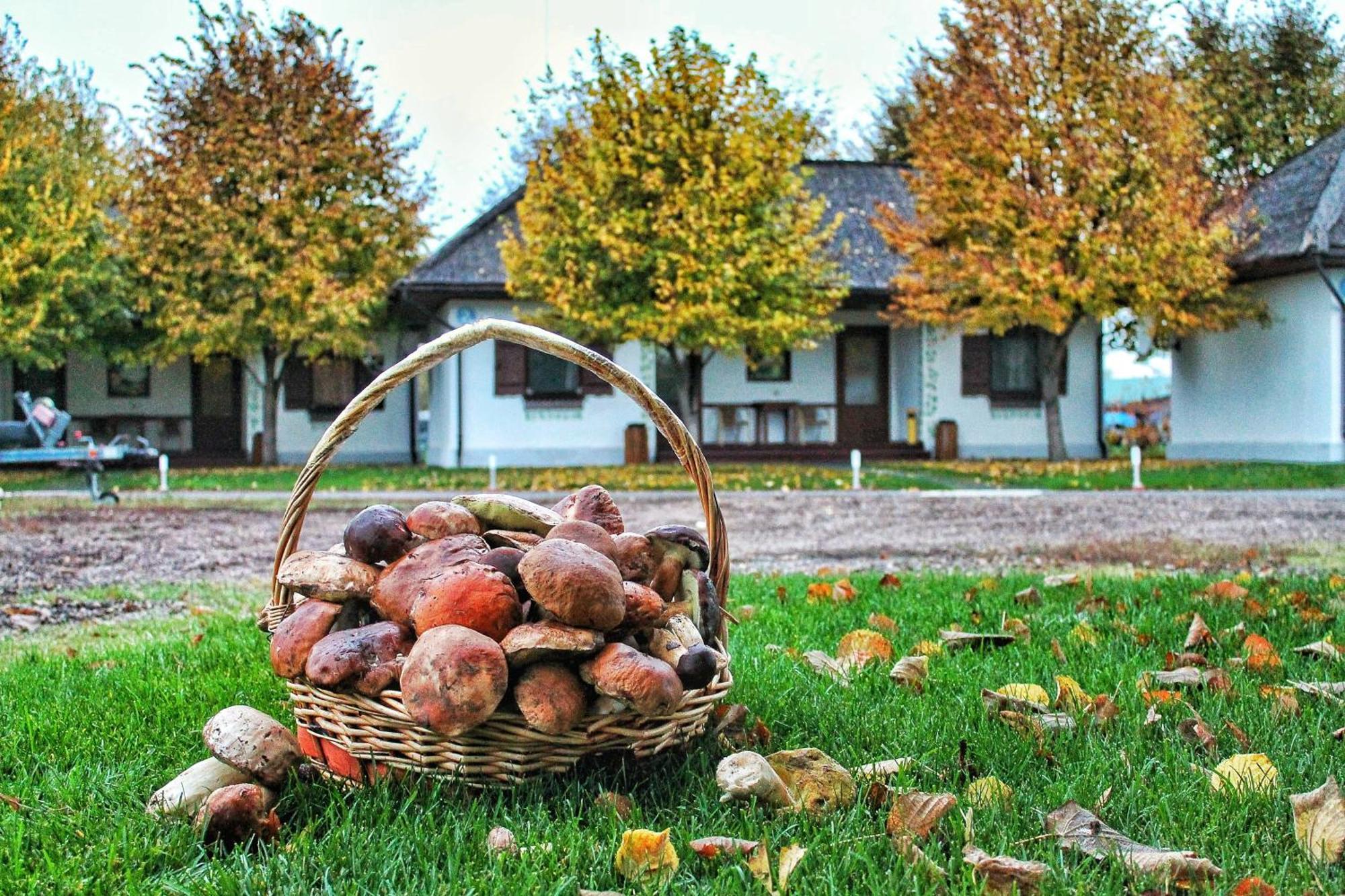Bereg Holiday Park Svetlogorskoye ภายนอก รูปภาพ