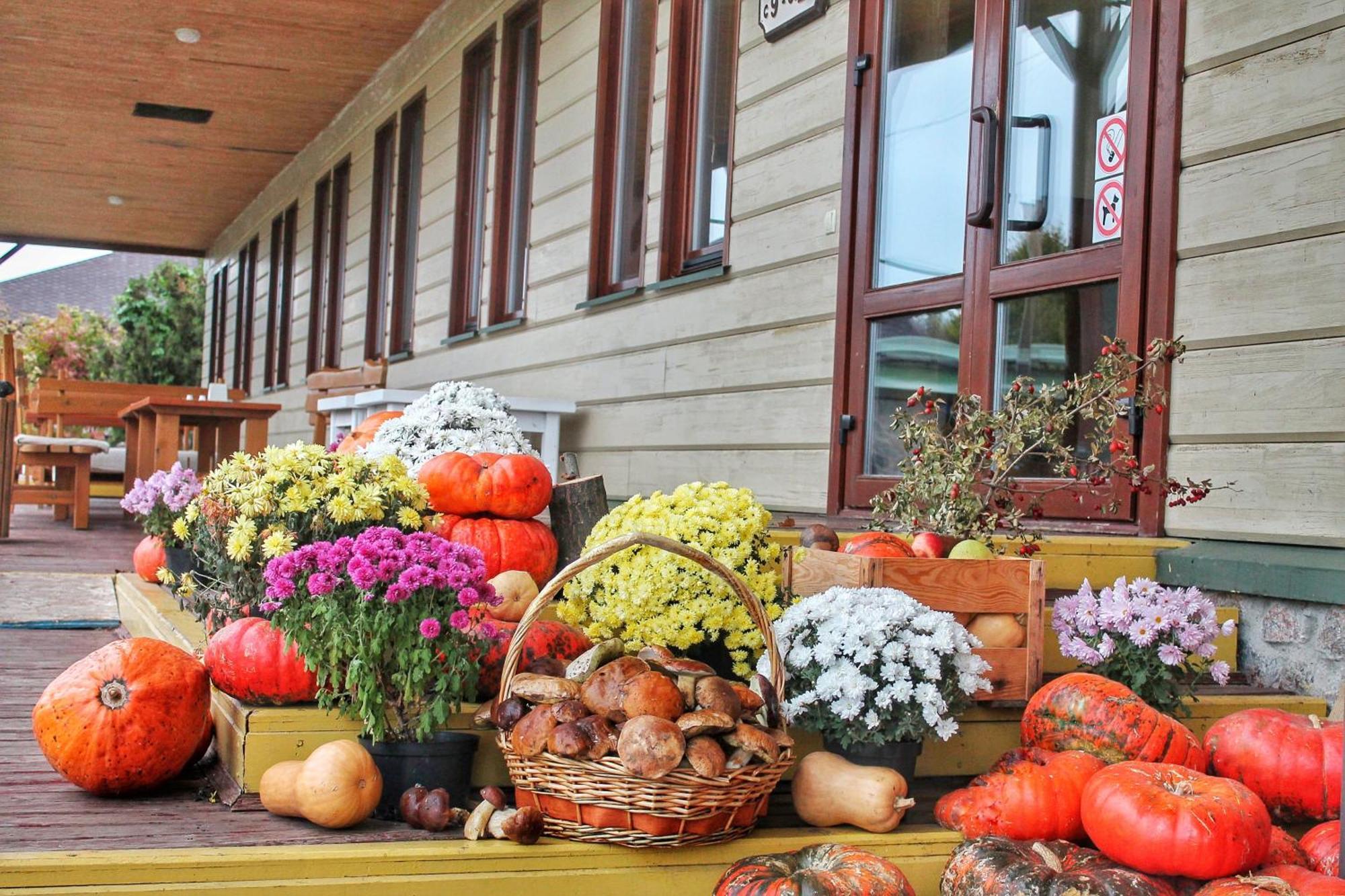 Bereg Holiday Park Svetlogorskoye ภายนอก รูปภาพ